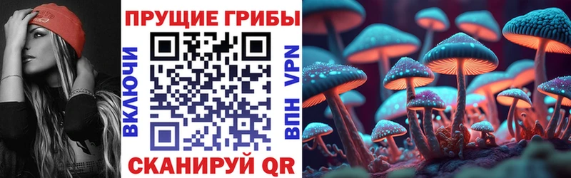 Галлюциногенные грибы ЛСД  Балашиха 